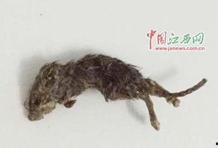 番鼠爆料视频大全,揭秘娱乐圈幕后真相 第2张 番鼠爆料视频大全,揭秘娱乐圈幕后真相 第2张